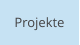 Projekte